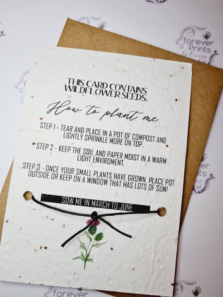 Seed paper teacher Wish bracelet, wildflower seed paper teacher gift