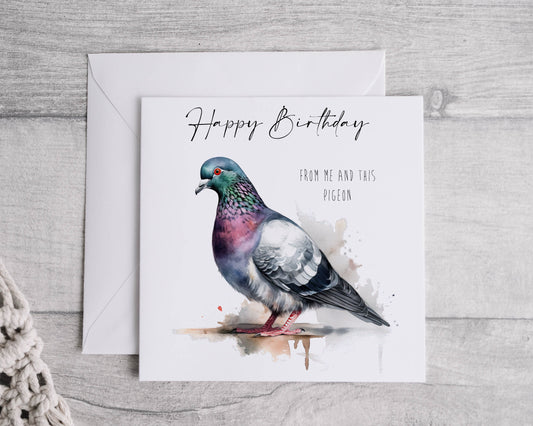 Pigeon birthday card, racing pigeon birthday card